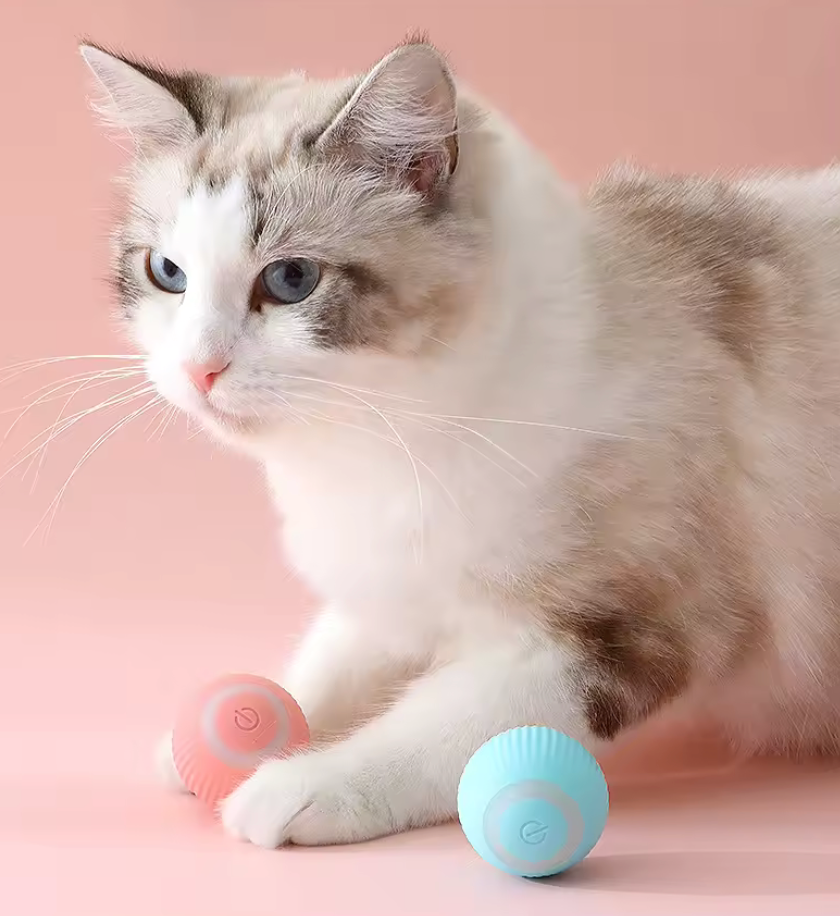 FeliBall: Pelota Estimulante de mente y cuerpo.